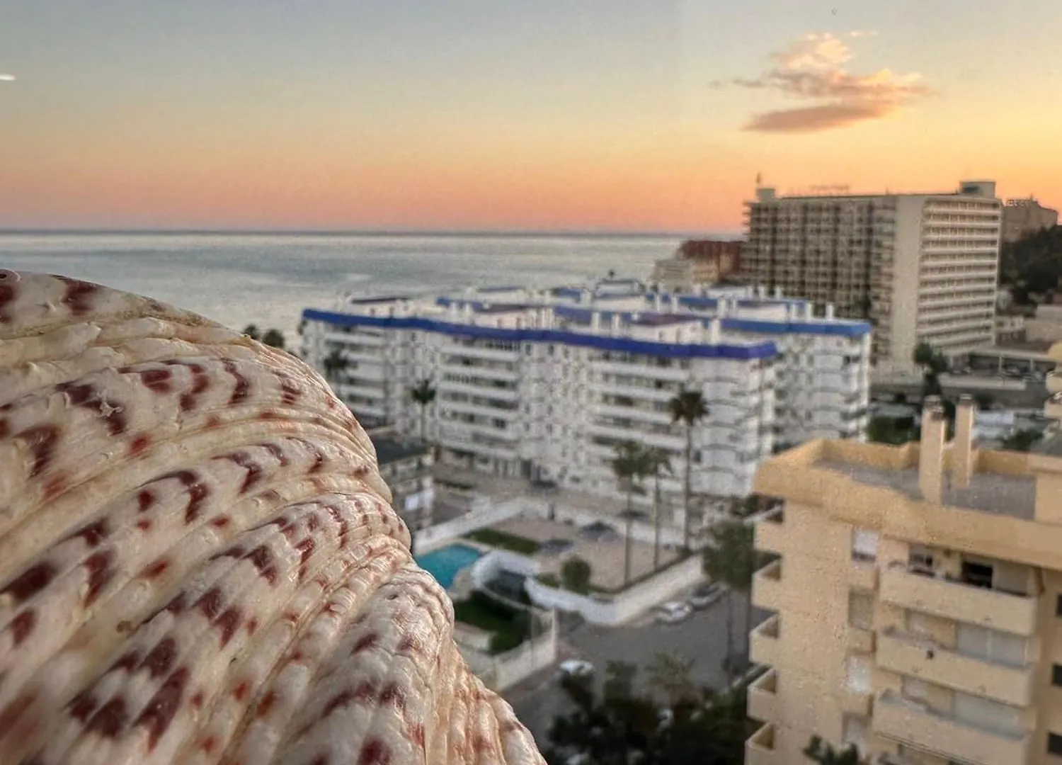 Estudio Ayni Benalmádena